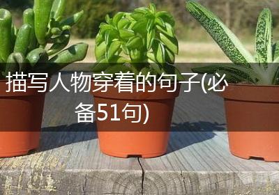 描写人物穿着的句子(必备51句)