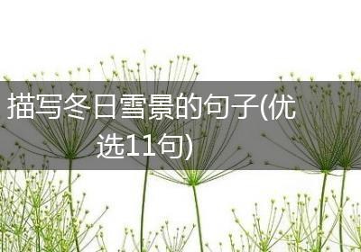 描写冬日雪景的句子(优选11句)