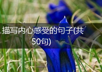 描写内心感受的句子(共50句)