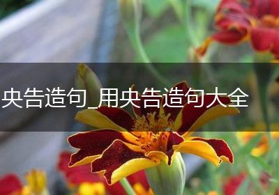 央告造句_用央告造句大全