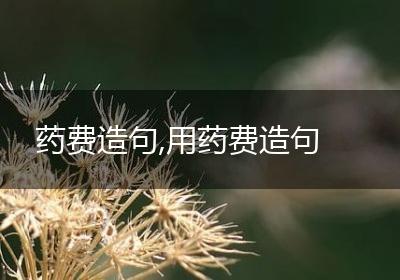 药费造句,用药费造句