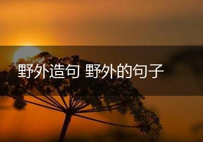 野外造句 野外的句子