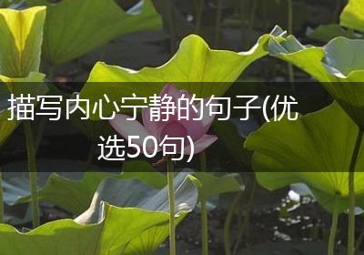 描写内心宁静的句子(优选50句)