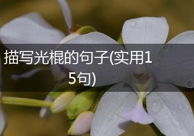 描写光棍的句子(实用15句)