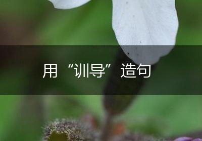 用“训导”造句