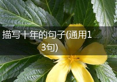 描写十年的句子(通用13句)