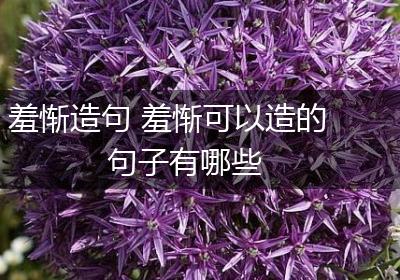 羞惭造句 羞惭可以造的句子有哪些