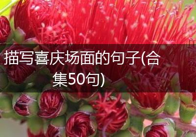 描写喜庆场面的句子(合集50句)