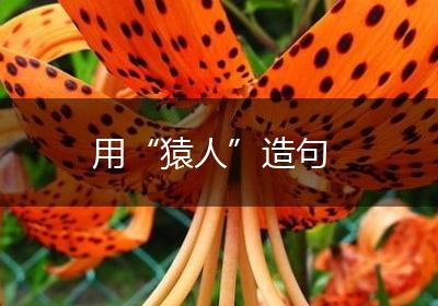 用“猿人”造句