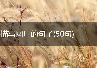 描写圆月的句子(50句)