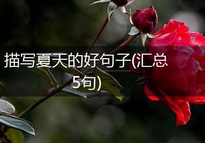 描写夏天的好句子(汇总5句)