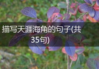 描写天涯海角的句子(共35句)