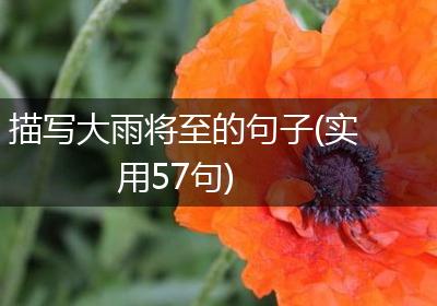 描写大雨将至的句子(实用57句)