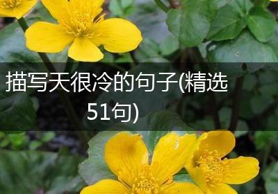 描写天很冷的句子(精选51句)