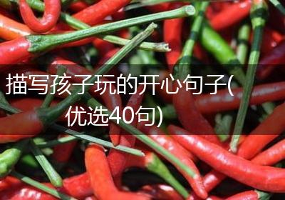描写孩子玩的开心句子(优选40句)