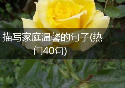 描写家庭温馨的句子(热门40句)