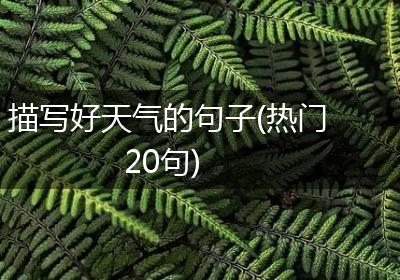描写好天气的句子(热门20句)