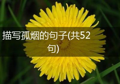 描写孤烟的句子(共52句)