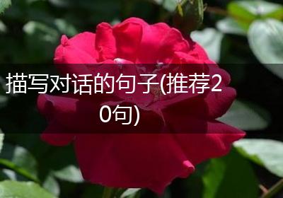 描写对话的句子(推荐20句)