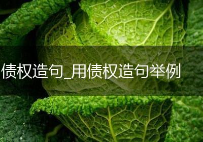 债权造句_用债权造句举例
