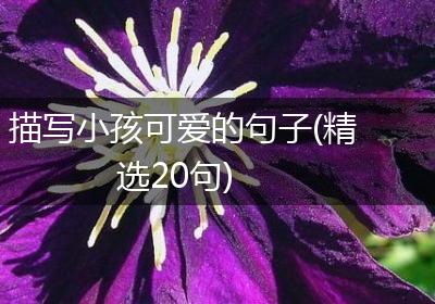 描写小孩可爱的句子(精选20句)