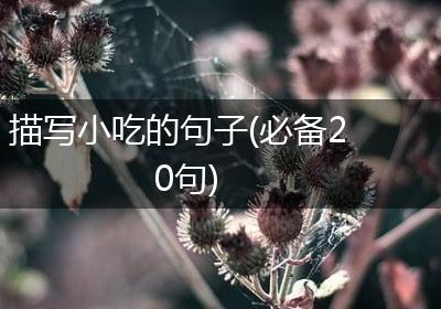 描写小吃的句子(必备20句)