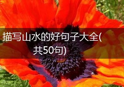 描写山水的好句子大全(共50句)
