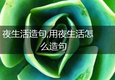 夜生活造句,用夜生活怎么造句