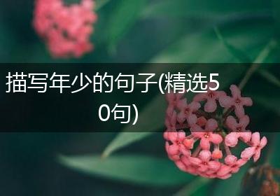 描写年少的句子(精选50句)