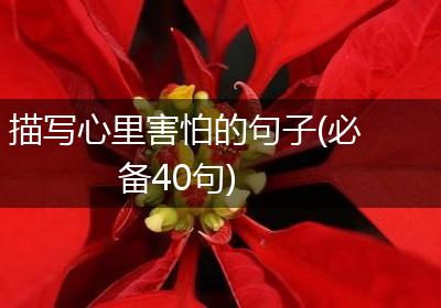 描写心里害怕的句子(必备40句)