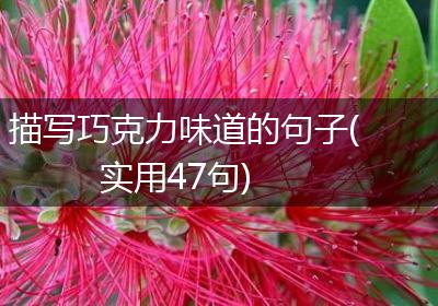 描写巧克力味道的句子(实用47句)
