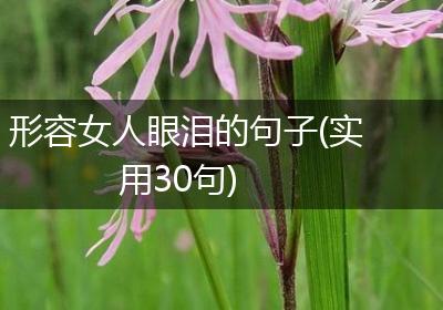 形容女人眼泪的句子(实用30句)