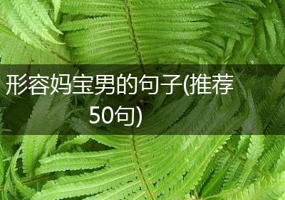 形容妈宝男的句子(推荐50句)