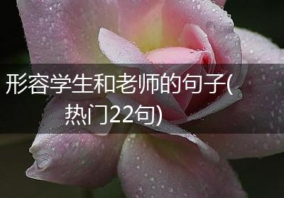 形容学生和老师的句子(热门22句)