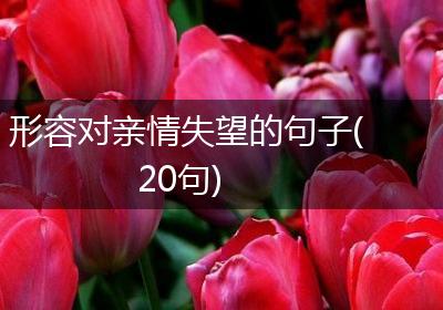 形容对亲情失望的句子(20句)