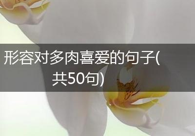 形容对多肉喜爱的句子(共50句)