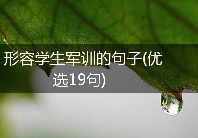 形容学生军训的句子(优选19句)