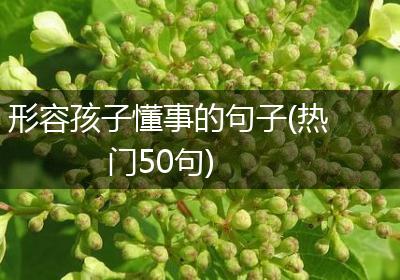 形容孩子懂事的句子(热门50句)