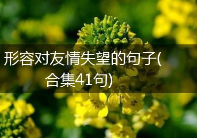 形容对友情失望的句子(合集41句)