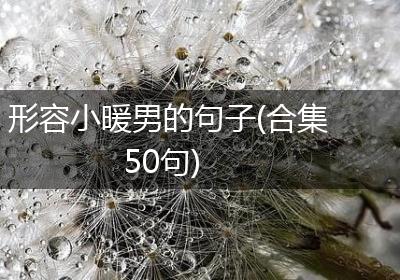 形容小暖男的句子(合集50句)