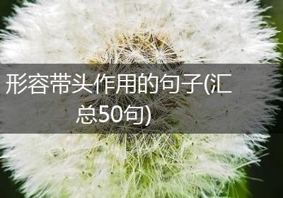 形容带头作用的句子(汇总50句)