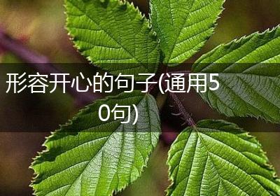 形容开心的句子(通用50句)