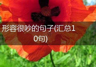 形容很吵的句子(汇总10句)