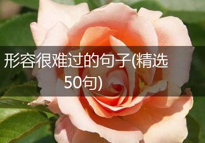 形容很难过的句子(精选50句)