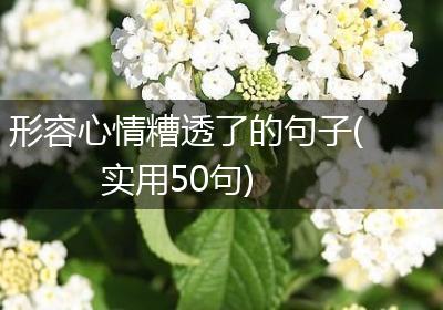 形容心情糟透了的句子(实用50句)