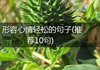 形容心情轻松的句子(推荐10句)