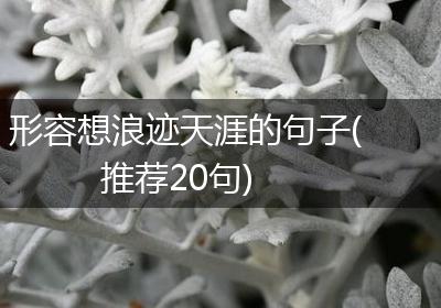 形容想浪迹天涯的句子(推荐20句)