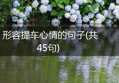 形容提车心情的句子(共45句)