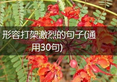 形容打架激烈的句子(通用30句)