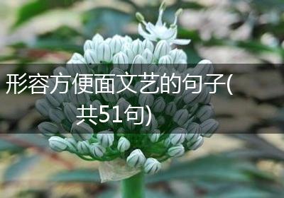 形容方便面文艺的句子(共51句)